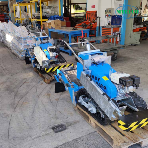 Máy làm sạch bãi biển Baby Tapiro 100 chạy xăng