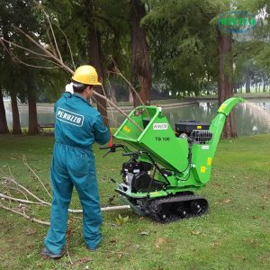 Máy băm cành cây TB100 C