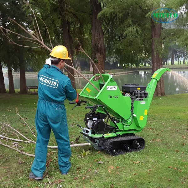 Máy băm cành cây TB100 C