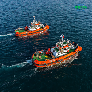 Cẩu gập thủy lực trên tàu thuyền - Ảnh 3