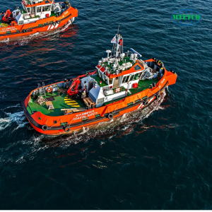 Cẩu gập thủy lực trên tàu thuyền - Ảnh 2