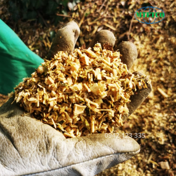 Máy băm cành cây TB120 C PRO