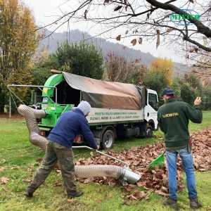 Máy hút cắt cành lá cây Peruzzo Turbo 400