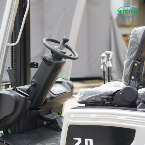 Xe nâng điện Everlift Pin ác quy