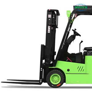 Xe nâng điện chạy pin lithium Everlift - Ảnh 3