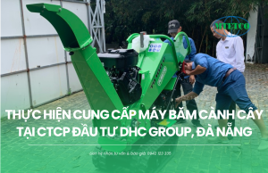Thực hiện cung cấp máy băm cành cây tại Đà Nẵng