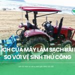 7 lợi ích của máy làm sạch bãi biển so với vệ sinh thủ công