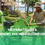 Máy băm tàu dừa cho resort, khu nghỉ dưỡng ven biển