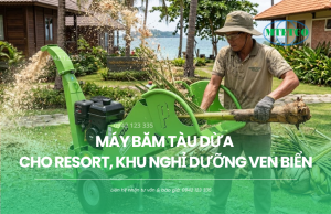 Máy băm tàu dừa cho resort, khu nghỉ dưỡng ven biển