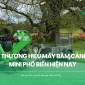 Top 5 thương hiệu máy băm cành cây mini phổ biến hiện nay