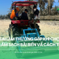 4 sai lầm thường gặp khi chọn máy làm sạch bãi biển và cách tránh