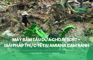 Máy băm tàu dừa cho resort - Giải pháp thực tế Amiana Cam Ranh