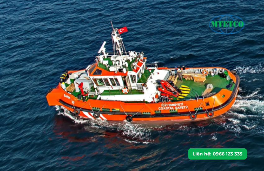 Tổng hợp các dòng cẩu gập thủy lực Fassi