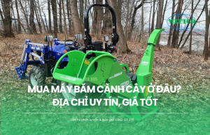 Mua máy băm cành cây ở đâu? Địa chỉ uy tín, giá tốt